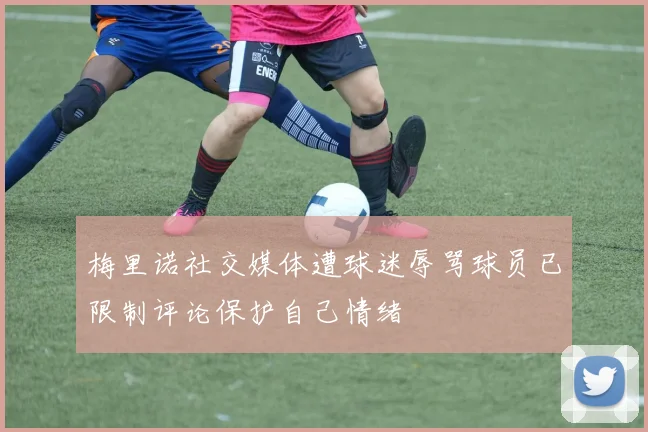 梅里诺社交媒体遭球迷辱骂球员已限制评论保护自己情绪