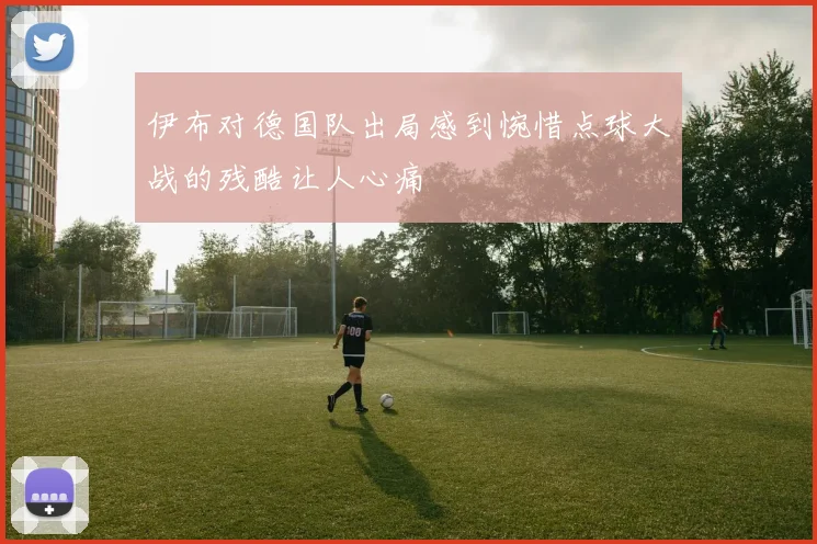 伊布对德国队出局感到惋惜点球大战的残酷让人心痛